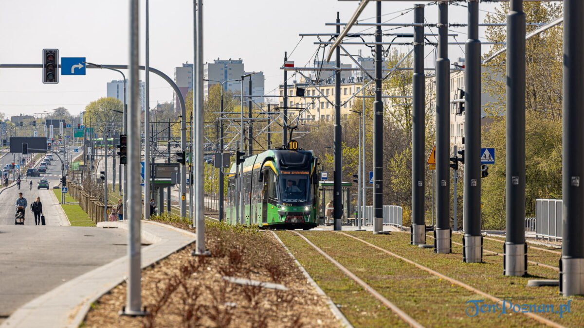 Wakacyjne zmiany w ZTM. Nowy rozkład jazdy od 27 czerwca