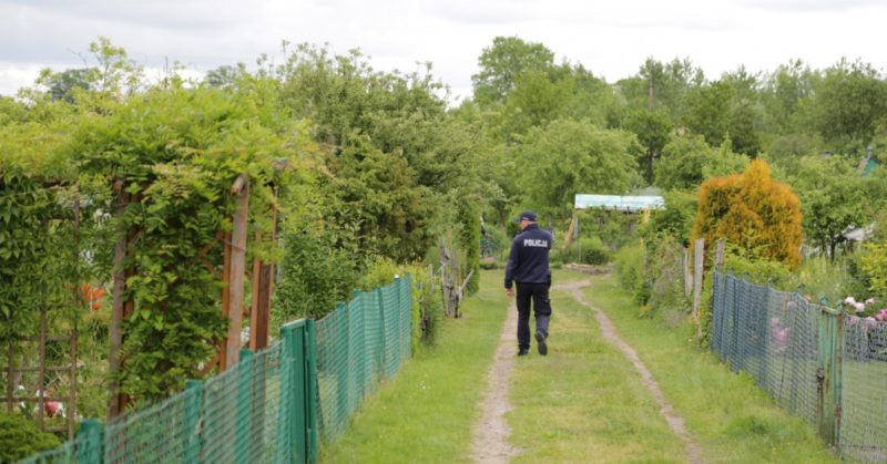 Akcja policji na działkach w regionie. Jedna z zatrzymanych osób trafiła do izby dziecka
