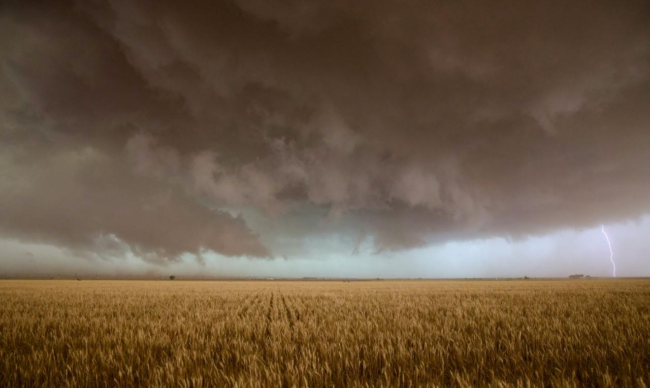 Za nami kolejna burzowa noc, a to wciąż nie koniec!