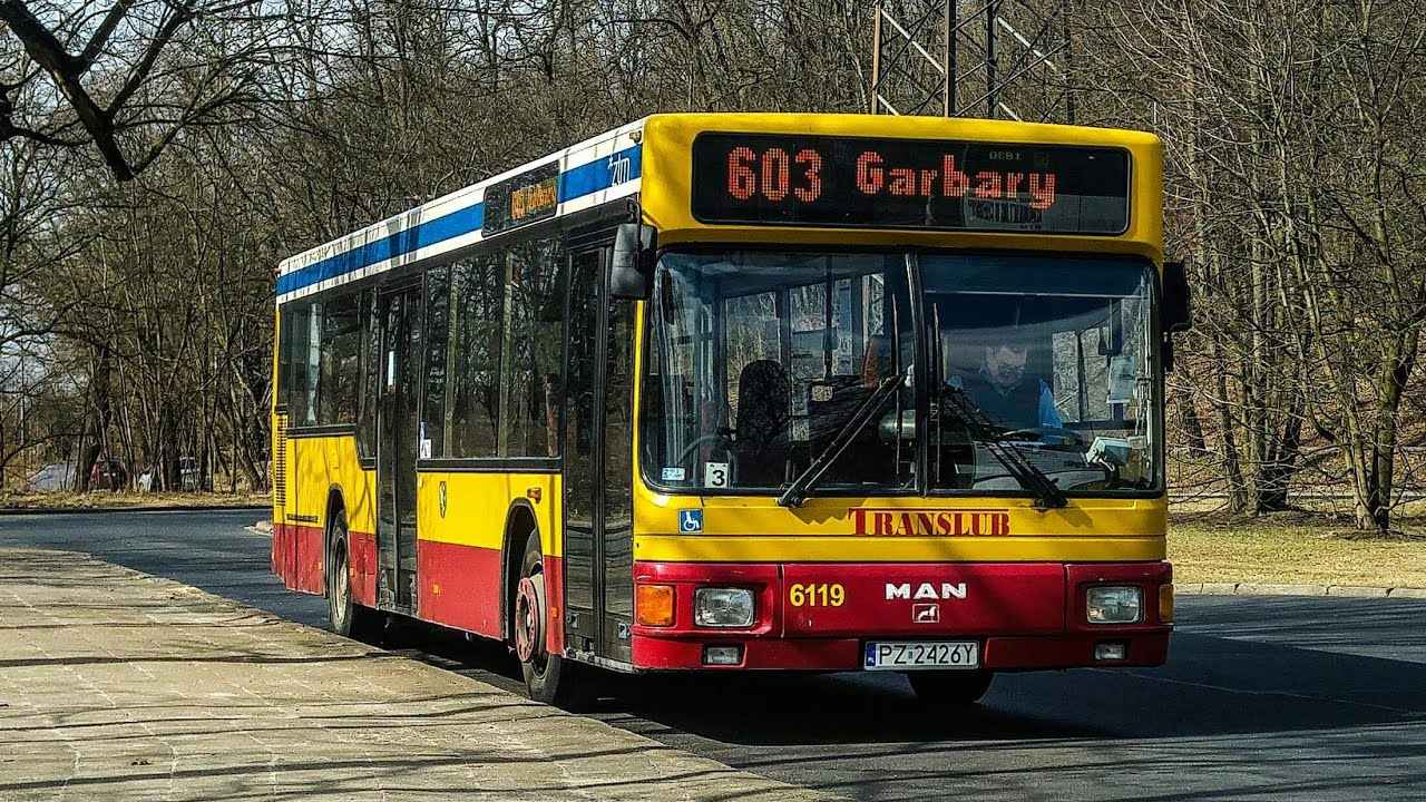 Letni rozkład jazdy i zielony autobus