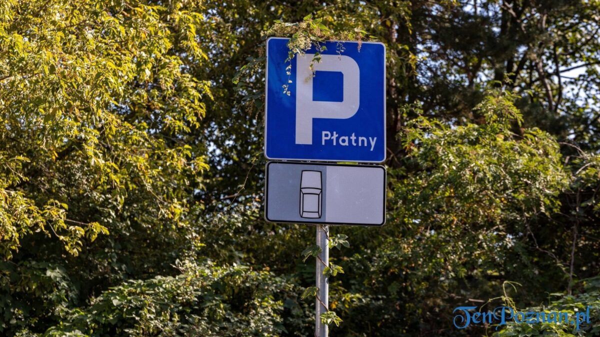 Uwaga kierowcy! Nowa organizacja ruchu na poznańskich Ogrodach