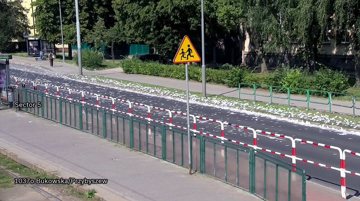 Taki widok na ulicy w Poznaniu. "Nie był to leżący w lipcu śnieg"