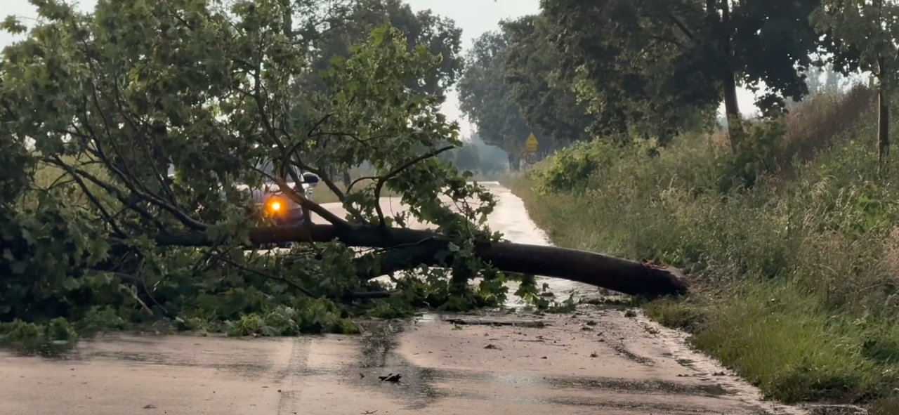 Blisko 115 interwencji strażaków w związki z burzami w regionie. Trudna niedziela, a to nie koniec