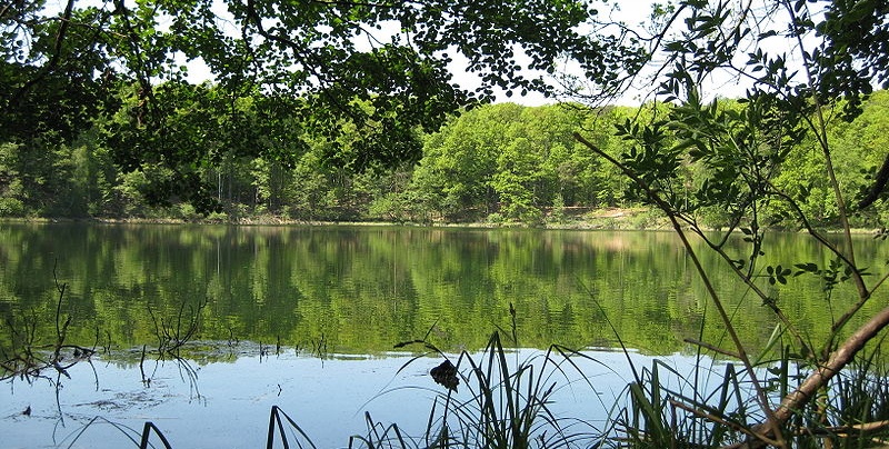 Sierpień – więcej niż środek wakacji