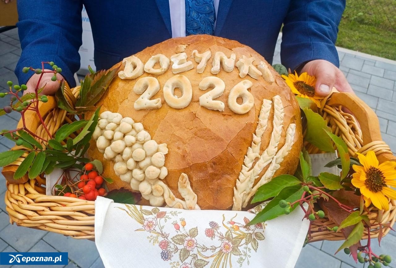 2-latek z sepsą salmonellową po dożynkach. Zatruł się jedzeniem?