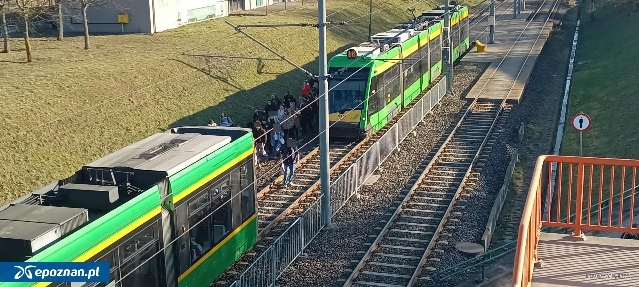 Atak na motorniczą w tramwaju. Sprawca zatrzymany
