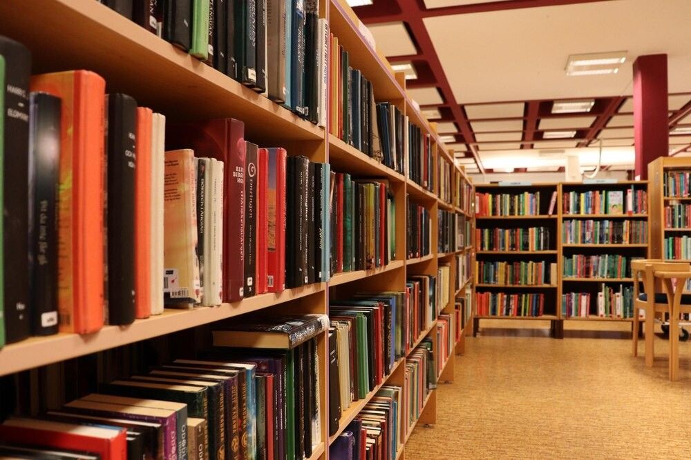 Spotkanie o głosie w miejskiej bibliotece – zdjęcie artykułu z Lubon.net.pl