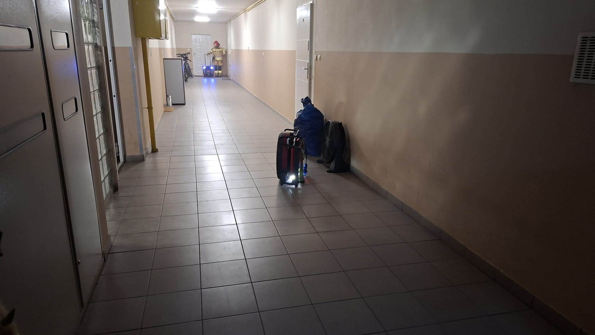 Pożar mieszkania w Luboniu. Ewakuowano 13 osób – zdjęcie artykułu z Lubon.net.pl